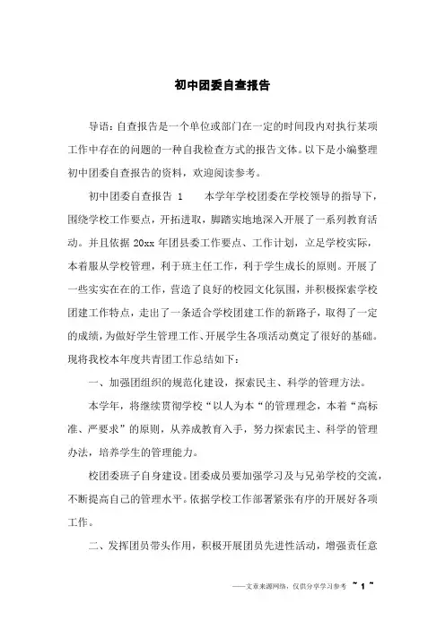 初中团委自查报告