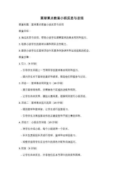篮球重点教案小班反思与总结