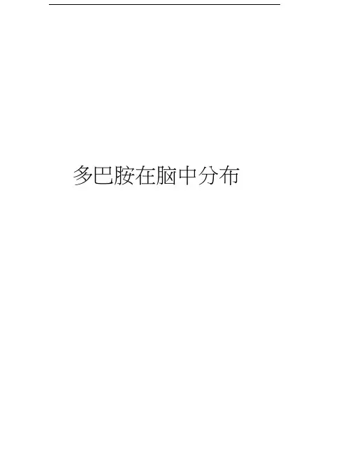 多巴胺在脑中分布演示教学