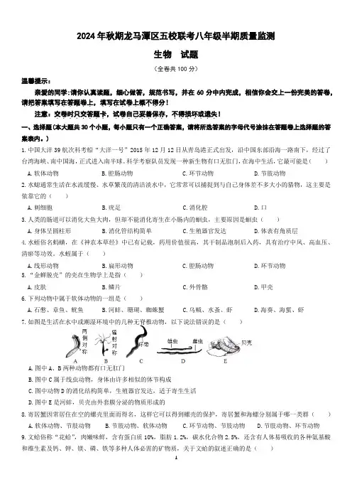 2024-2025学年四川省泸州市龙马潭区五校联考八年级上学期11月期中生物试题