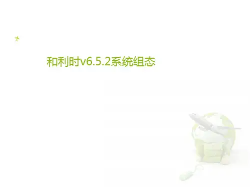 和利时v6.5.2系统组态