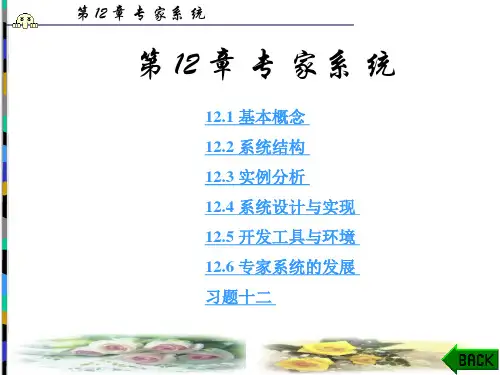 专家系统介绍