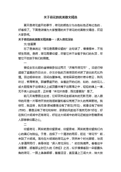 关于荷花的优美散文精选