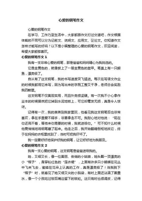 心爱的钢笔作文