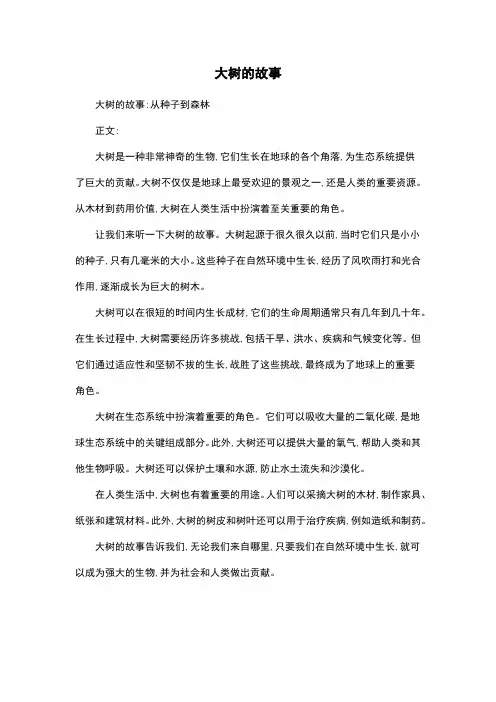 大树的故事