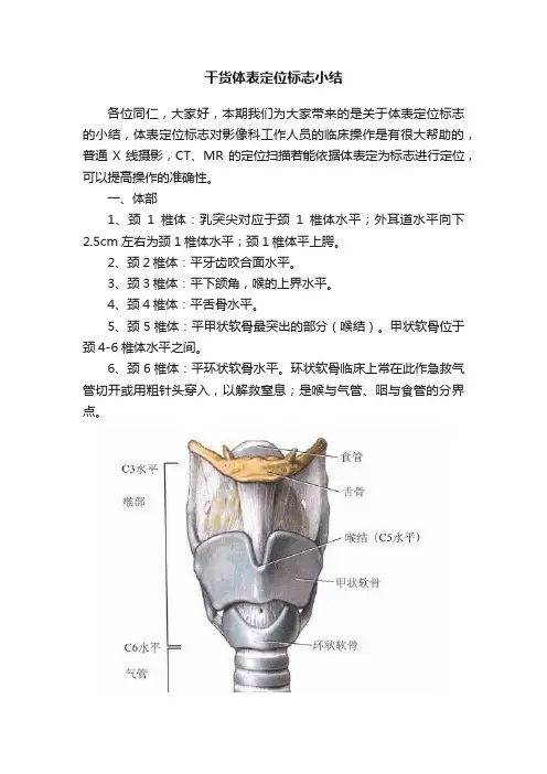 干货体表定位标志小结