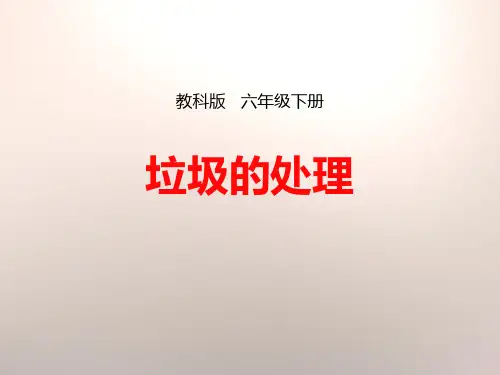 教科版六年级科学下册垃圾的处理 (2)
