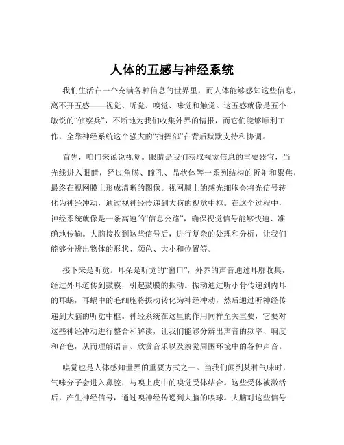 人体的五感与神经系统
