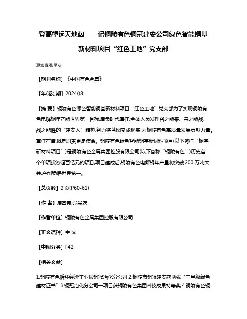 登高望远天地阔——记铜陵有色铜冠建安公司绿色智能铜基新材料项目“红色工地”党支部