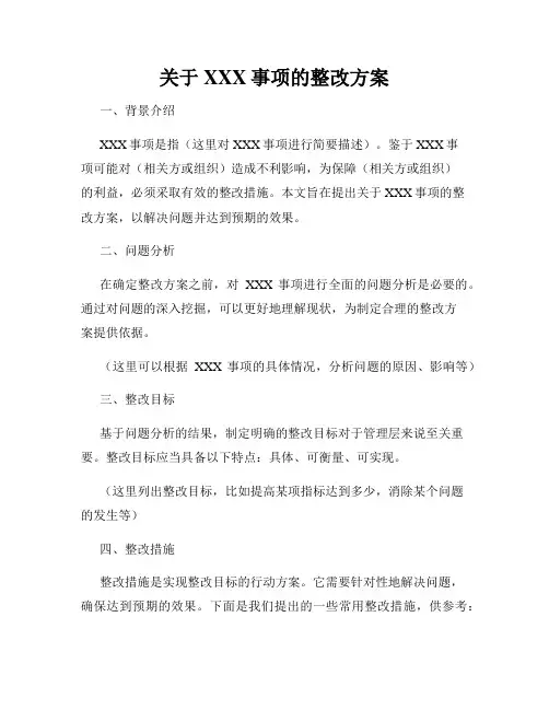 关于XXX事项的整改方案