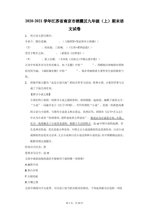 2020-2021学年江苏省南京市栖霞区九年级(上)期末语文试卷(附答案详解)