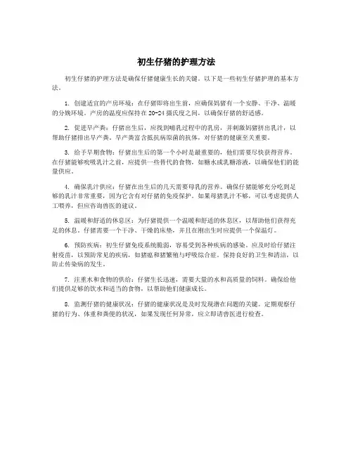 初生仔猪的护理方法