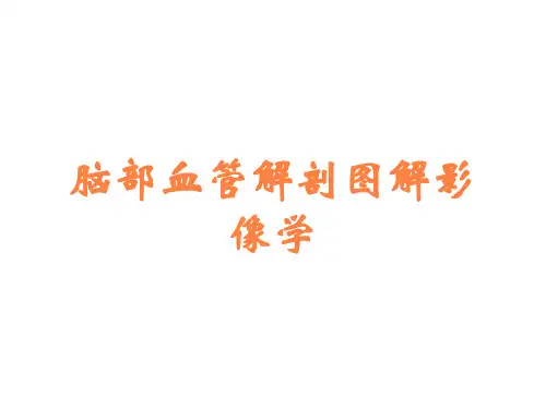 脑部血管解剖图解影像学