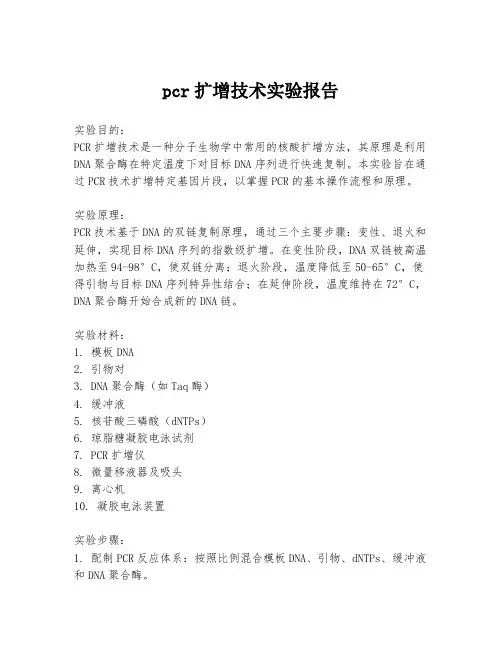 pcr扩增技术实验报告