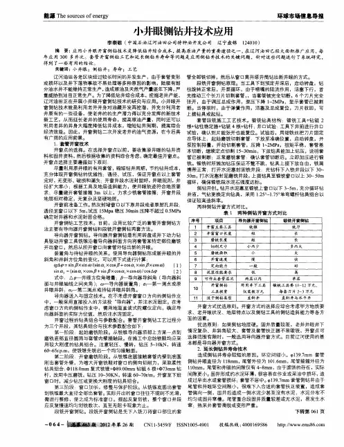 小井眼侧钻井技术应用