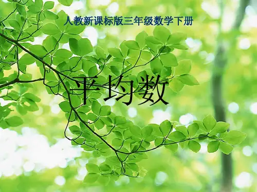 三年级数学 下册平均数课件