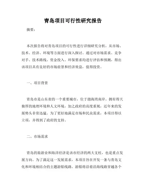 青岛项目可行性研究报告
