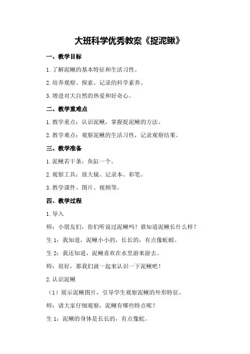 大班科学优秀教案《捉泥鳅》