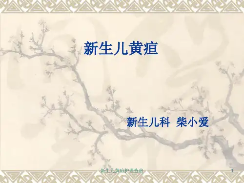 新生儿黄疸护理查房ppt课件