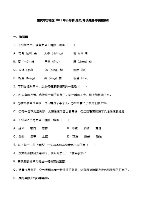 重庆市万州区2021年小升初[语文]考试真题与答案解析
