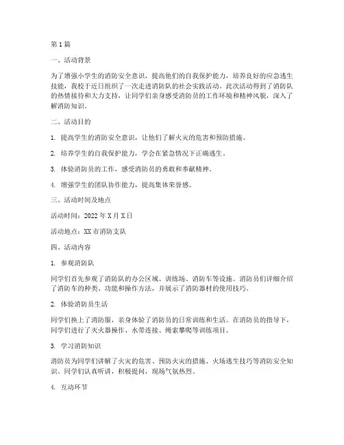 小学走进消防队活动总结(3篇)