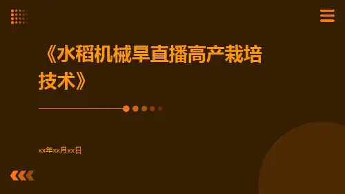 水稻机械旱直播高产栽培技术