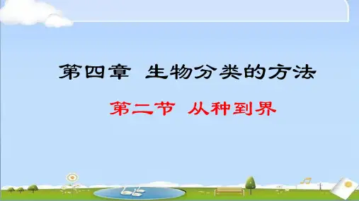 2024年秋新人教版生物七年级上册课件 第四章 生物分类的方法 2.4.2 从种到界
