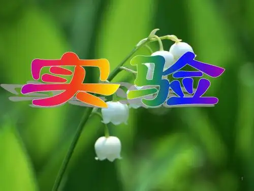 实验观察根尖分生区细胞有丝分裂ppt课件