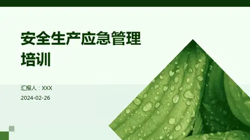 安全生产应急管理培训 PPT课件