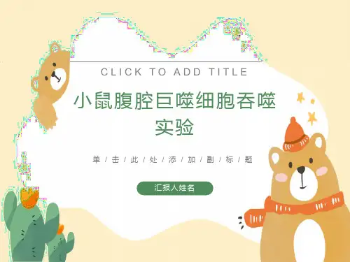 小鼠腹腔巨噬细胞吞噬实验
