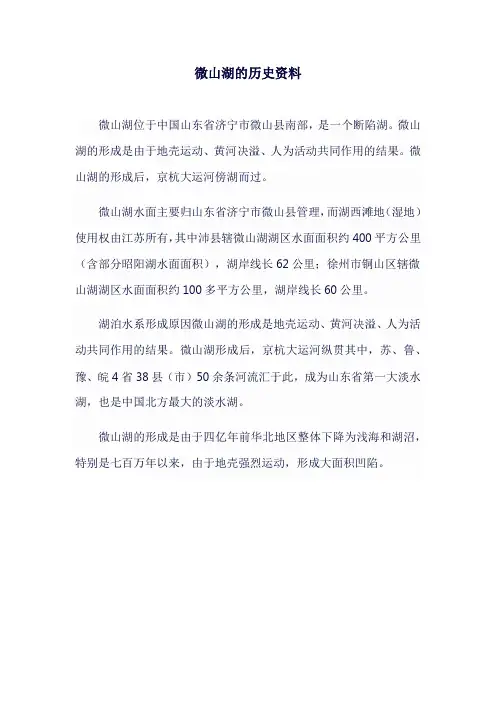 微山湖的历史资料