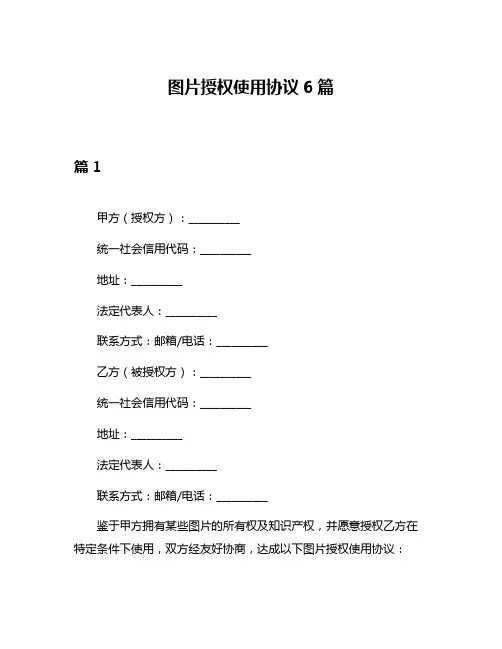 图片授权使用协议6篇
