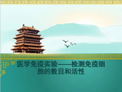 实验设计(从影响淋巴细胞功能、T淋巴细胞增殖角度)检测免疫细胞的数目和活性