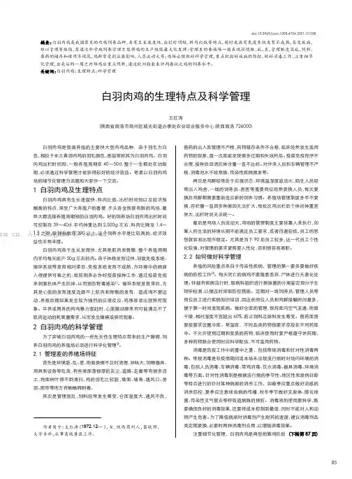 白羽肉鸡的生理特点及科学管理