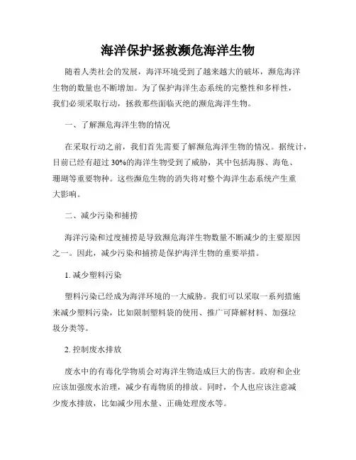 海洋保护拯救濒危海洋生物