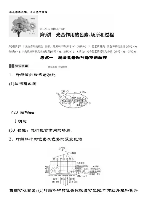 浙江省生物《选考总复习》配套文档：第2单元 第9讲 光合作用的色素、场所和过程 含解析