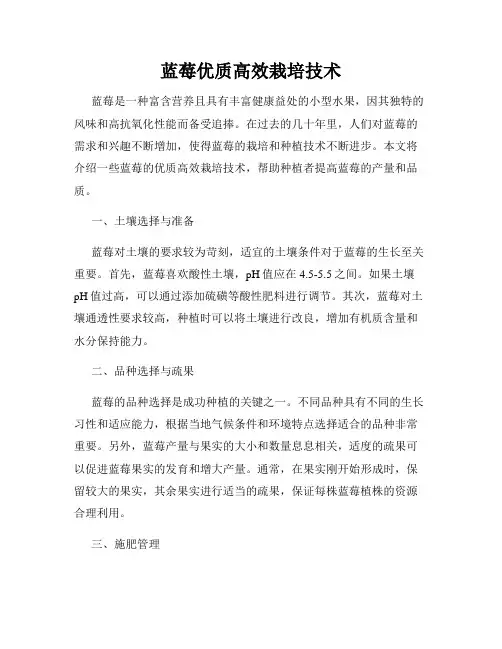 蓝莓优质高效栽培技术