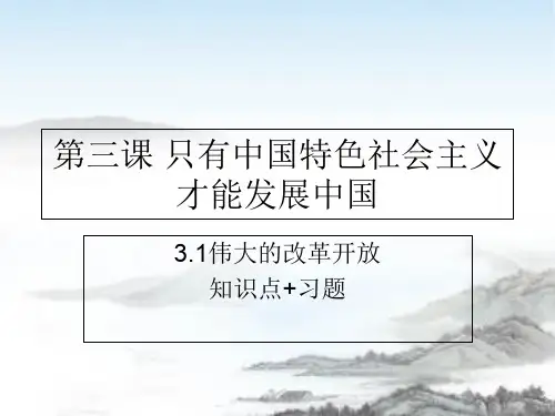 高中政治人教版新教材必修1中国特色社会主义3.1 伟大的改革开放知识点总结+习题课件(共18张PPT