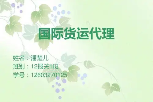 2013年国际海运集装箱前20名公司