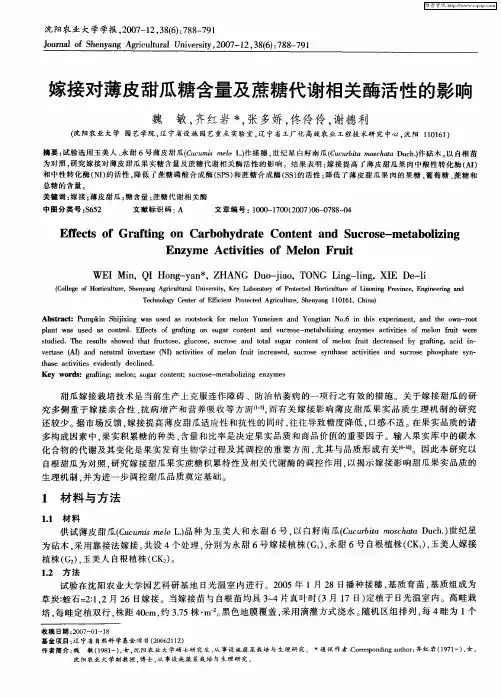 嫁接对薄皮甜瓜糖含量及蔗糖代谢相关酶活性的影响