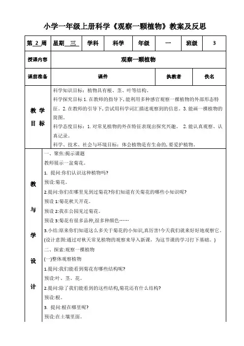 小学一年级上册科学《观察一颗植物》教案及反思