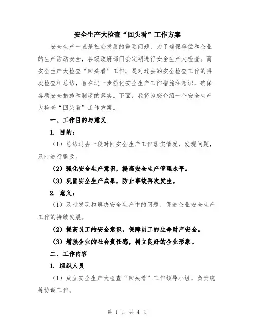 安全生产大检查“回头看”工作方案