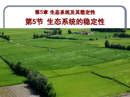 人教版生物必修三5-5生态系统的稳定性