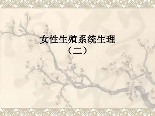 女性生殖系统生理