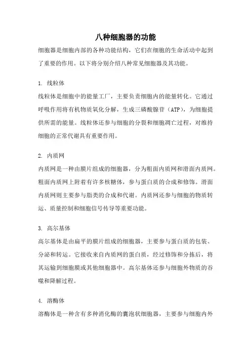 八种细胞器的功能