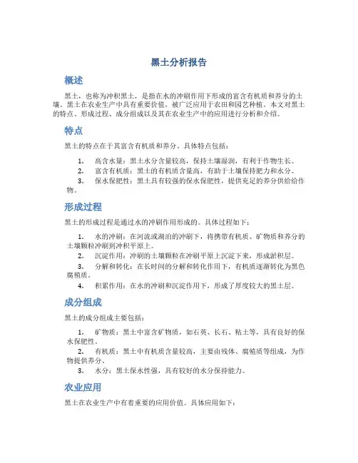 黑土分析报告
