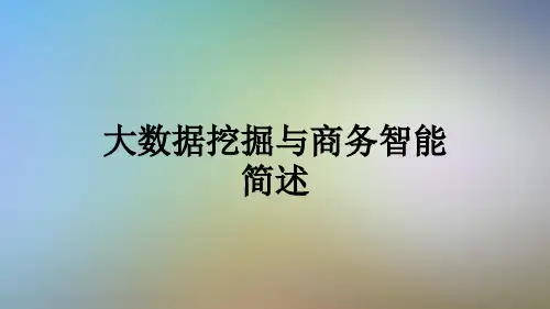 大数据挖掘与商务智能简述