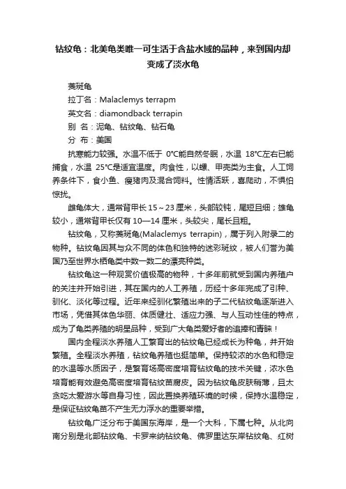 钻纹龟：北美龟类唯一可生活于含盐水域的品种，来到国内却变成了淡水龟