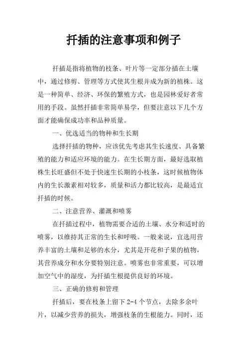扦插的注意事项和例子