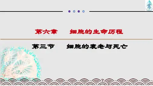 细胞衰老,凋亡与癌变